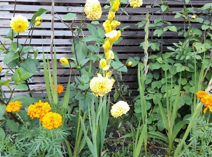 On The First Floor Of The House Apartment *