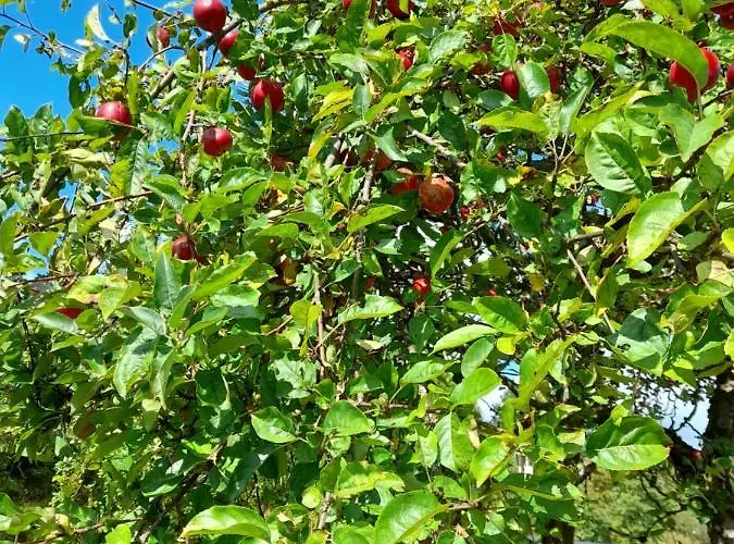 On The First Floor Of The House * Skien